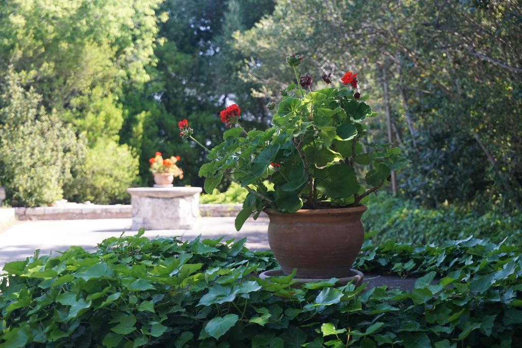 Finca Son Vivot Экстерьер фото